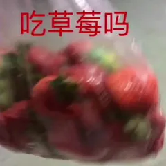吃草莓吗