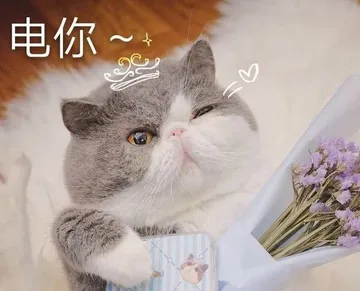 电你~