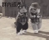 群内巡逻