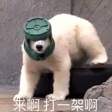 来啊打一架啊