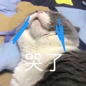 是喵星人啦00010-哭了猫