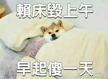 朝床毁上午.早起傻一天