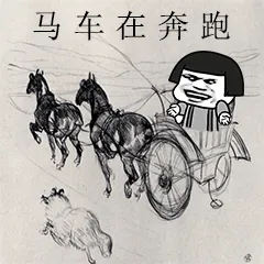 马车在奔跑