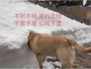 不听不听，王八念经，不看不看，公鸡下蛋