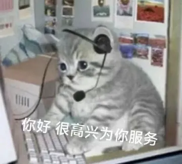 你好很高兴为你服务