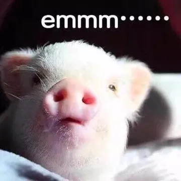 ennm。°°°