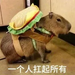 一个人扛起所有(水豚表情包)