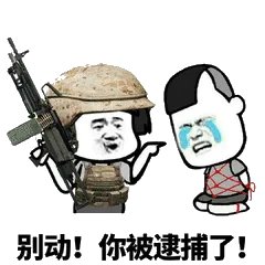 别动！你被逮捕了