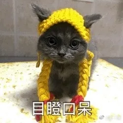 目瞪口呆！