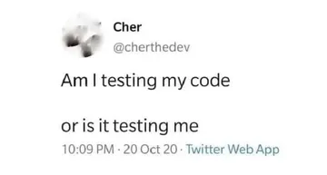 Am I Debugging The Code Or Debugging Myself