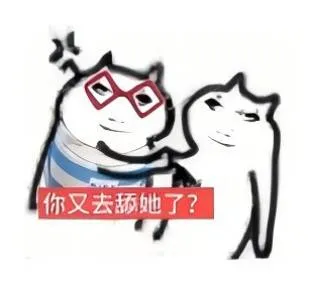 龙图：你又去舔她了表情包