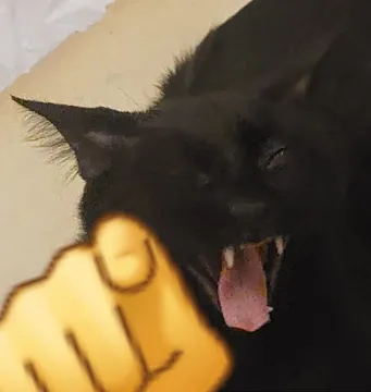 Black Cat Laughs