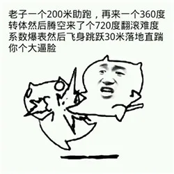 老子一个200米助跑，再来一个360度转体，然后腾空来了个720度翻滚难度系数爆表，然后飞身跳跃30米落地直踹你个大逼脸