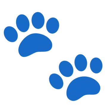 Paw prints