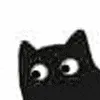 黑猫转眼睛