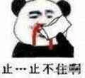 止-止不住啊(流鼻血)