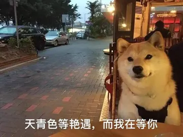 天青色等艳遇，而我在等你