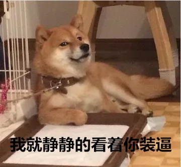 汪星人的表情