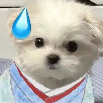 猫猫流汗表情包