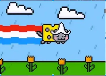 dutch nyan cat