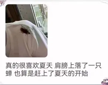 真的很喜欢夏天肩膀上落了一只蝉也算是赶上了夏天的开始