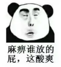 麻痹谁放的屁，这酸爽