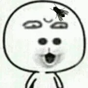 有一只苍蝇在脸上爬，哎呦我艹，跑嘴巴里面去了