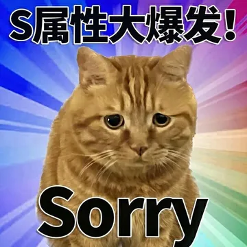 S属性大爆发！Sorry