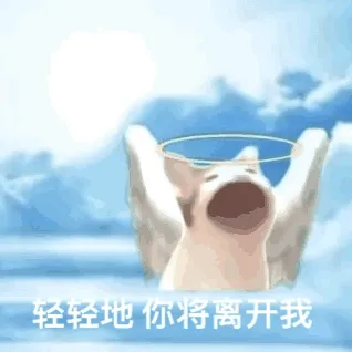 轻轻地你将离开我（POPO猫表情包）