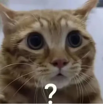 猫猫问号疑惑