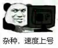 杂种.速度上号