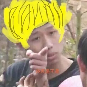 王境泽指人