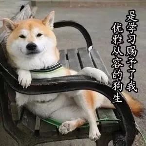 优雅从容的狗生是学习赐予了我！