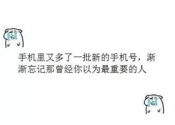 手机里又多了一批新的手机号，渐渐忘记那曾经你以为重要的人