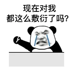 现在对我都这么敷衍了吗？
