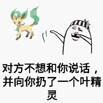 对方不想和你说话，并向你扔了一个叶精灵