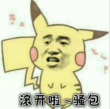 滚开啦~骚包(皮卡丘)