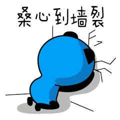 飞行熊日常生活一