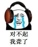 对不起.我聋了
