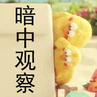 暗中观察(鹦鹉)