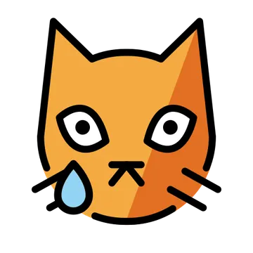 Crying cat