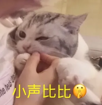 小声比比