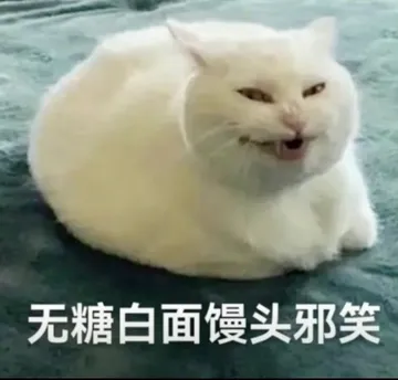 无糖白面馒头邪笑