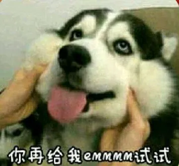 你再给我mm试式试