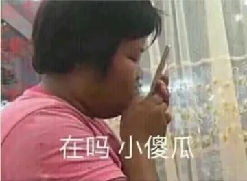 在吗，小傻瓜