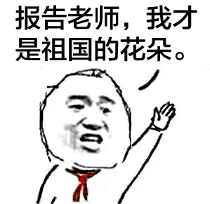 报告老师.我才是祖国的花朵.