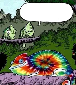 RAINBOW CHAMELEON BLANK