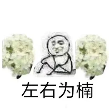 左右为楠