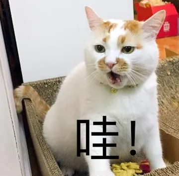 哇