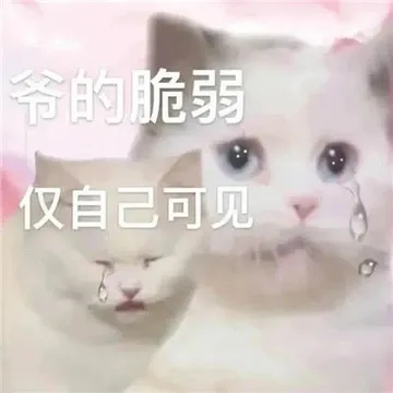 爷的脆弱仅自己可见